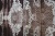 Тюль "ВАЛЬДЕМАР" Арт 0435-1 Цвет Баклажан высота 295см рапп. 33см Италия