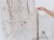 Тюль "ДИЗОН" Панно Арт 7745-3YU размеры 180х330 Цвет Визон сетка Крем Индия
