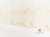 Тюль "Карлито" Арт BS04120-1 Цвет Золото раппорт 190см высота 310см Италия