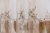 Тюль "Овация" Арт 27190-2 Цвет Олива рапп 32см высота 320см Франция