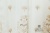 Тюль "ЛОРЕТТ" Арт J1598-1-027 (RS01A035) Цвет Табачный рапп 64см выс 290см Испания (МЕДЕЯ)