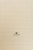 Ткань СИМФОНИЯ Арт B-6491-19111 Цвет Бежевый раппорт 1х1.5см ширина 280см Италия
